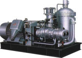 Profession Manufacture of Cbm Screw Compressor Unit: Lgm30/-0.05-0.4