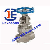 F304 800lb Sw Ends Forged Globe Valve