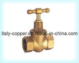 CE Certificate Brass Female Globe Valve (AV4008)