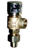 Safety Valve with Thread Outside for Tank Truck Parts