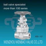 Forged Stainless Steel F304 Rising Stem Gate Valve 2