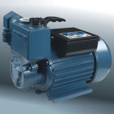 Water Pump (25ZB)