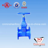 Resilient Seat Stem Gate Valve with Price