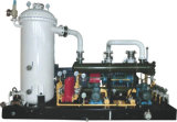 Popular Supplier of Flare Gas Screw Compressor Unit: Lgm20/0.004-0.8