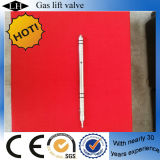 Oil Field Gas Lifting Valve for Oil Recovery (LH00107)