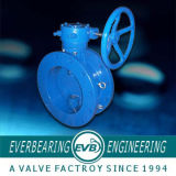 Butterfly Valve (CI-054-Y)