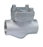 Forged Steel Swing Lift Check Valve