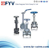 Flanged Cryogenic Gate Valve with Lever