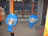 Worm Gear Operated Flange Butterfly Valve (D343H)