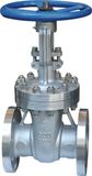 Gate Valve (ZZ-002)