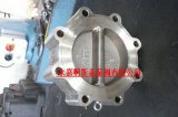 Plum Blossom Type Lug and Wafer Type Double Discs Swing Check Valve (H76)
