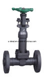 High Quality Forged Steel Cryogenic Flange Gate Valve