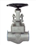 SW Forged Stainless Steel Globe Valve