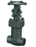 Forged Bellow Seal Valve