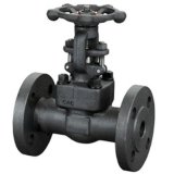 API602 Forged Flanged Gate Valve with Class150-2500lb