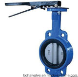 High Quality Control Valve & Butterfly Valve