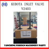Kubota Engine Parts Inlet Valve V2403