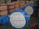 Wcb Double Flanged Butterfly Valve with Manual Gearbox (D343H)