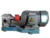 2cy High Pressure Gear Oil Pump Without Safe Valve