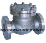 Check Valve for Oil Well Drilling