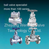 Stainless Steel F304 F316 Forged Steel Gate Globe Check Valves