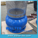 Cast Iron Foot Valve with Screen