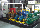Popular Supplier of Flare Gas Screw Compressor Unit: Lgm10/0.8