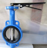 Wastewater Wafer Manual Butterfly Valve (D71X-16)