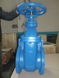 Cast Iron Forged Double Flange Gate Valve