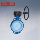 Lined Butterfly Valve (DN40-DN1200)