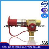 QF-T1H4 Nature Gas Cylinder Filling Valve with Nozzle in China Manufacture