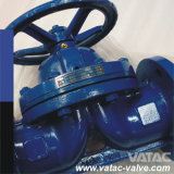 Manual Operated Flg RF/FF Weir Diaphragm Valve with Bonnet