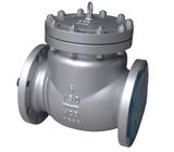 304 Stainless Steel Check Valve (POY-009)