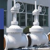 Rising Stem Gate Valve Cast & Forged (Z41)