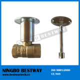 Gas Fryer Valve with Nickel Plated Key Manufacturer (BW-B79)