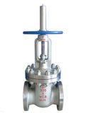 Stainless Steel ANSI API Gate Valve with CE