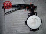 ANSI Dupont Lined Butterfly Valve for Chemical