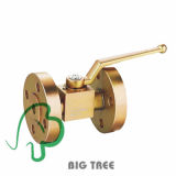 Ningbo Big Tree International Trade Co., Ltd.