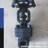 API / DIN Std NPT/Bw/Sw Forged Gate Valve