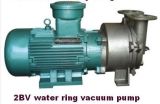 Liquid Ring Vacuum Pump (2BV)