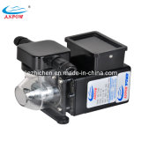 Automatic Swimming Pool Chemical Dosing Pump