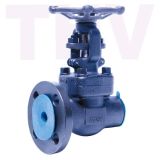 Taihong Forged Steel Vent Valve