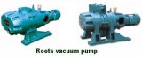 Roots Vacuum Pump (ZJ/ZJP)
