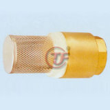Spring Check Valve With Filter (1167)