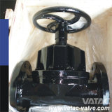 Flat Face ANSI/JIS/GB/BS Pn10/Pn16 Weir Type Cast Iron Gg25 Diaphragm Valve Lined PTFE