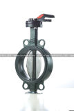 Wafer Type One Piece Shaft Butterfly Valve (RBV010)