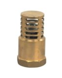 Brass/Bronze Foot Valve with Competitive...