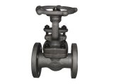 Forged Flanged End Steel Gate Valve