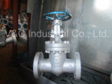 API Pneumatic Control Flanged Wedge Gate Valve with Best Quality