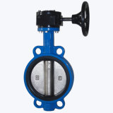 Ggg50 Worm Gear Butterfly Valve with Pin (D37A1X-10/16)